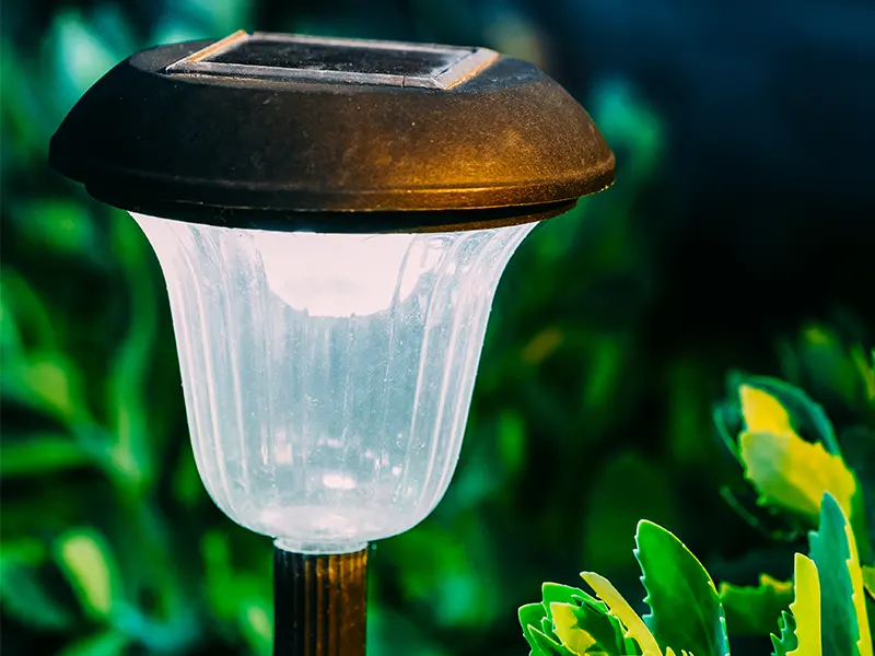 Do solar lights attract bugs