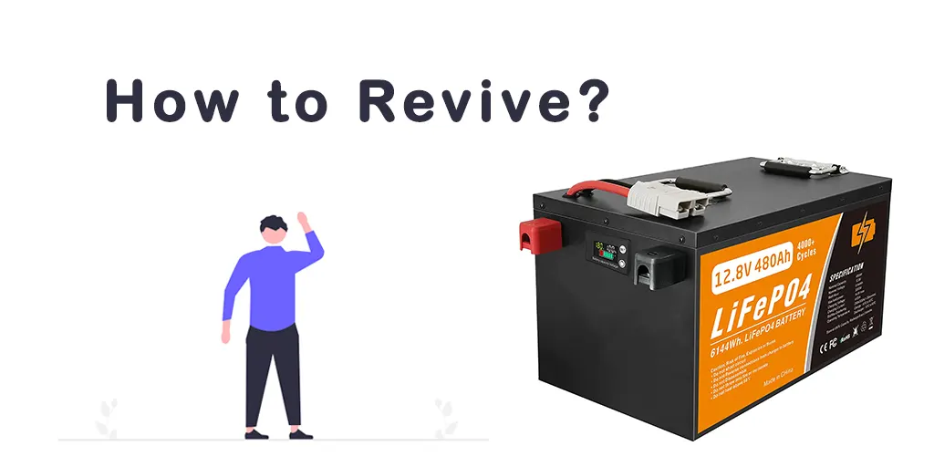 Revive-LiFePO4-battery