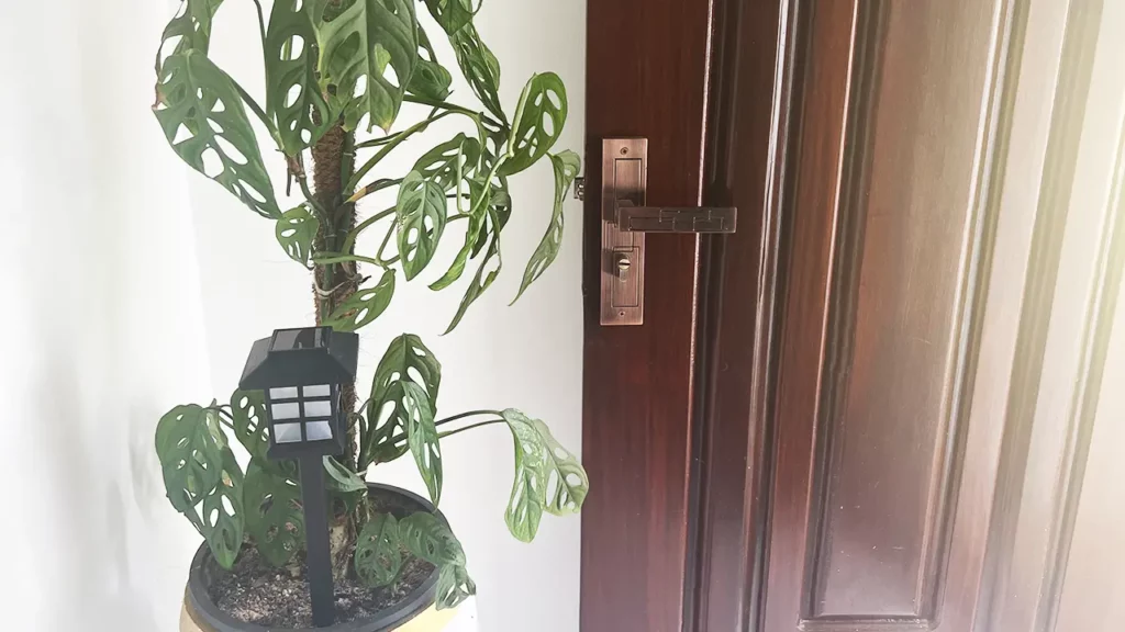 front view of solar garden light mounted inside of a indoor plant