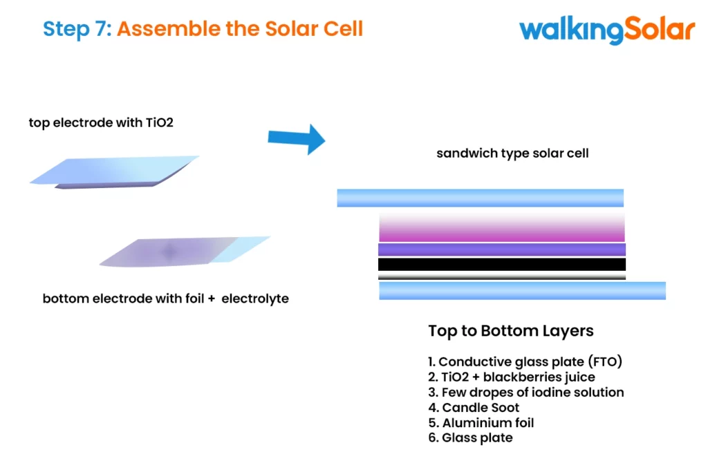 Assemble the Solar Cell