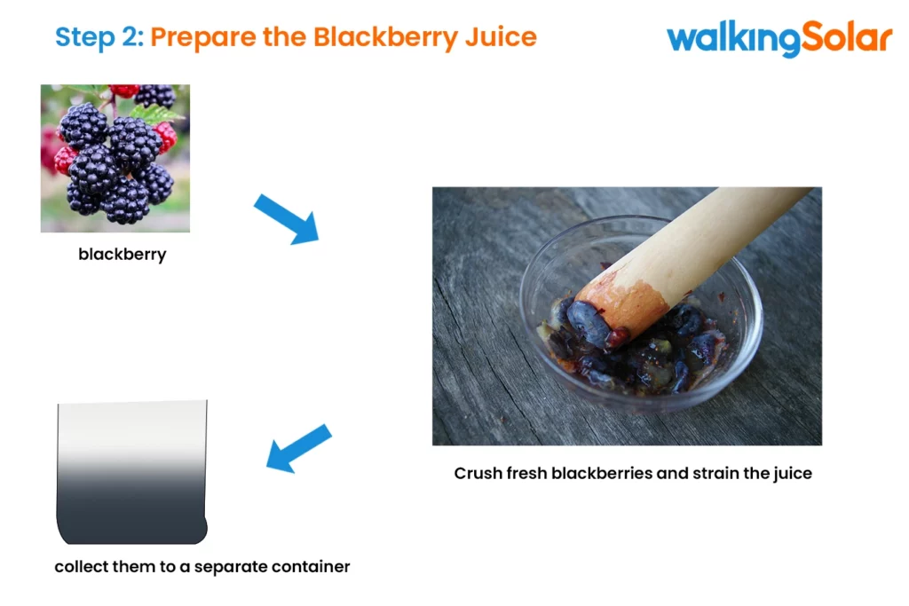 graphic showing how to Prepare the Blackberry Juice