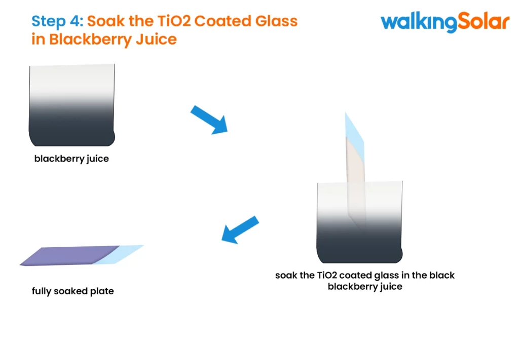 Soak the TiO2 Coated Glass in Blackberry Juice